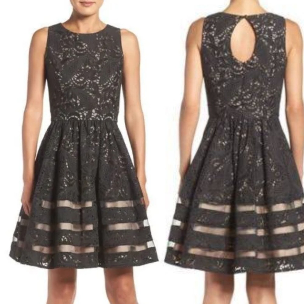 Eliza J Black Lace Fit-and-Flare Mini Dress